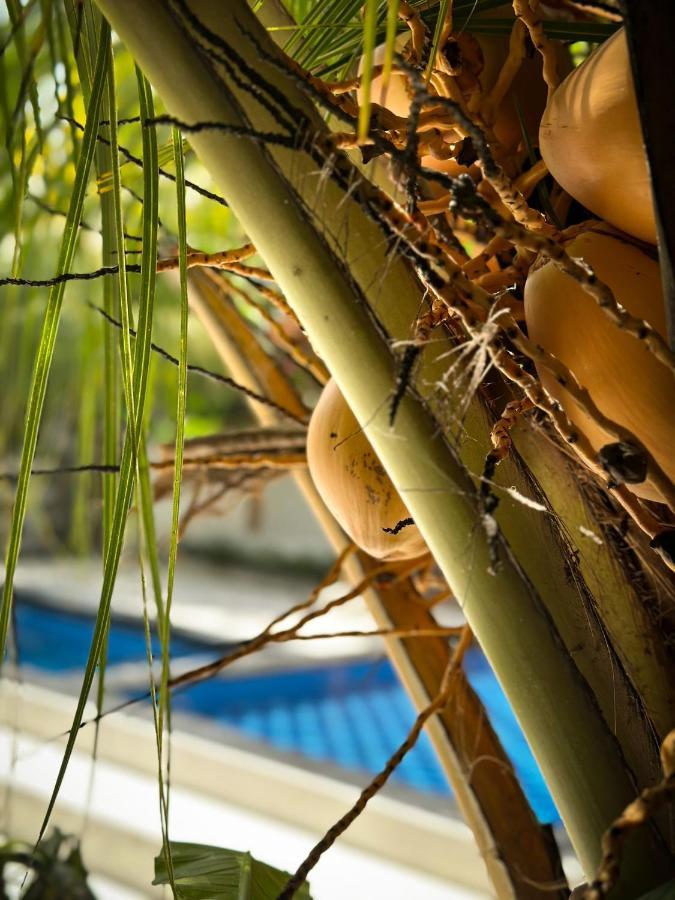 Hakuna Matata Resort Gili Air Exterior foto